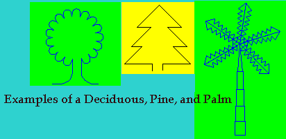 tree forms: pine, deciduous, palm